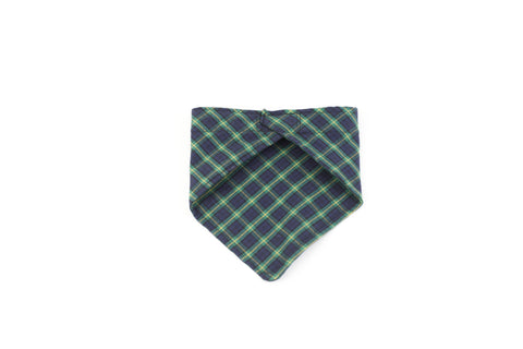 Extended Sleek Fresh Fish - Fresh gold